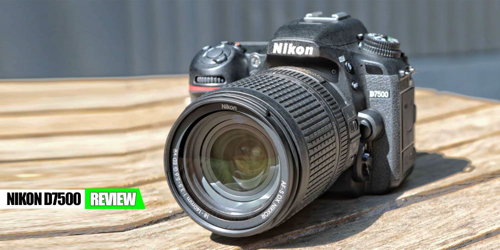 Nikon D7500 Review